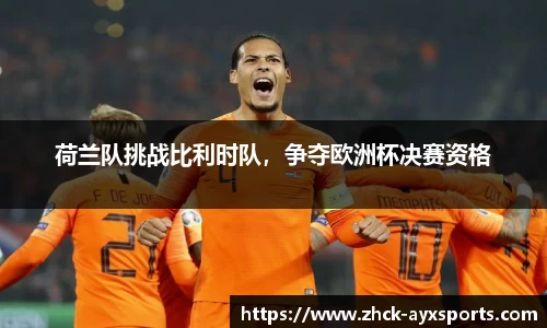 荷兰队挑战比利时队，争夺欧洲杯决赛资格