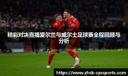 精彩对决直播爱尔兰与威尔士足球赛全程回顾与分析