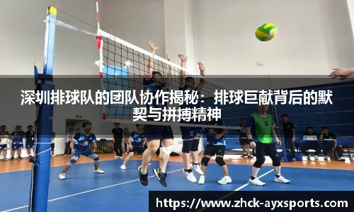 深圳排球队的团队协作揭秘：排球巨献背后的默契与拼搏精神